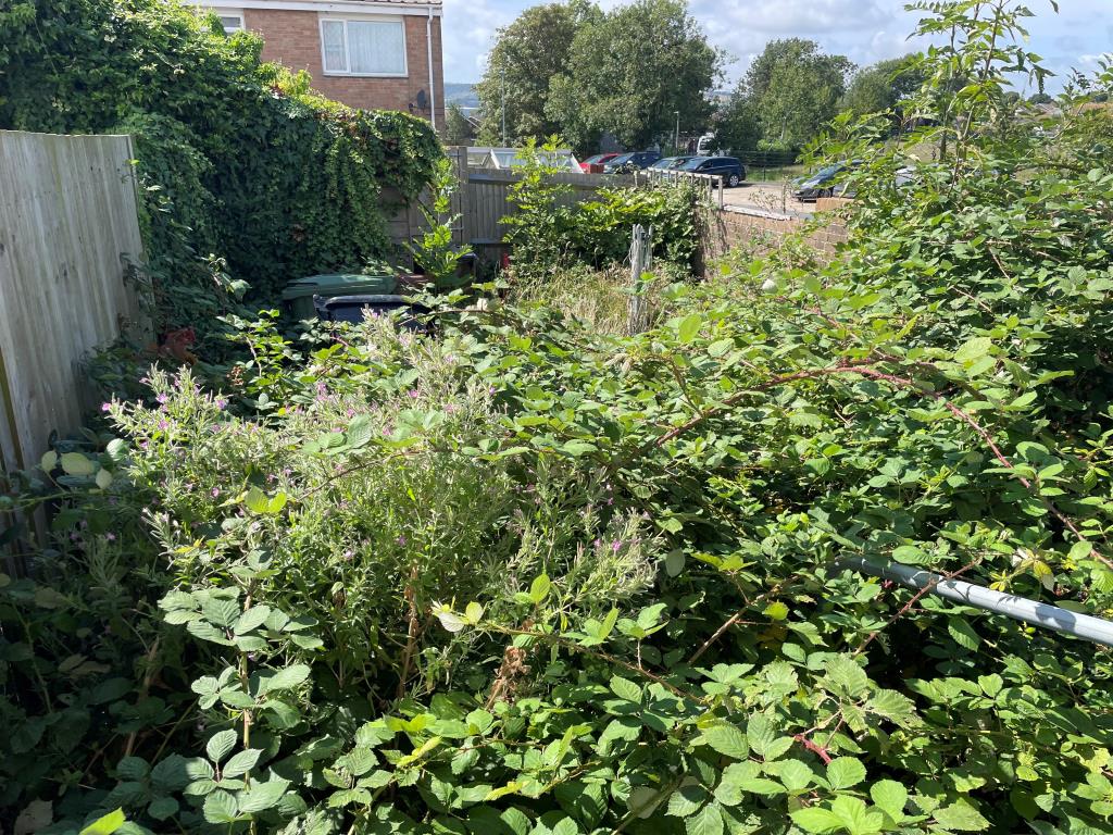 Lot: 19 - END-TERRACE HOUSE IN NEED OF REFURBISHMENT - Overgrown rear garden with fencing